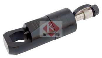 ��ĸ���_��